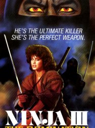 Ninja III: The Domination