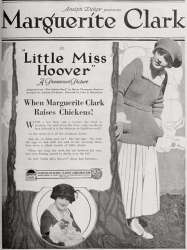 Little Miss Hoover