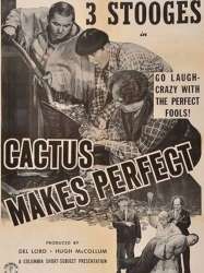 Cactus Makes Perfect