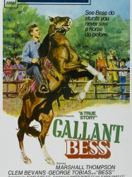 Gallant Bess