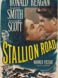 Stallion Road