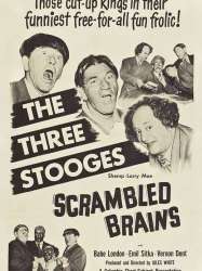 Scrambled Brains