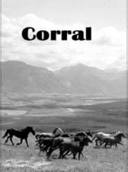 Corral