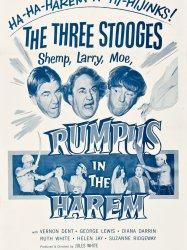 Rumpus in the Harem