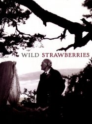 Wild Strawberries