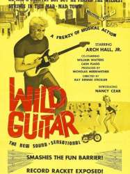 Wild Guitar