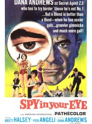 Spy in Your Eye