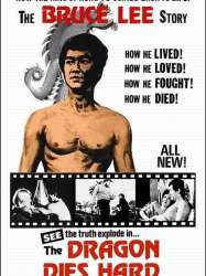 Bruce Lee: A Dragon Story