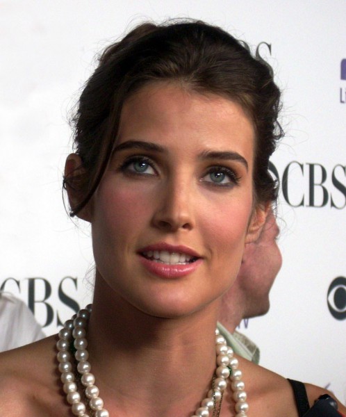 Cobie Smulders